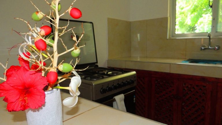 Pendo Apartamenti Vacanza Watamu | King Lion Tours and Safaris Pendo house kitchen