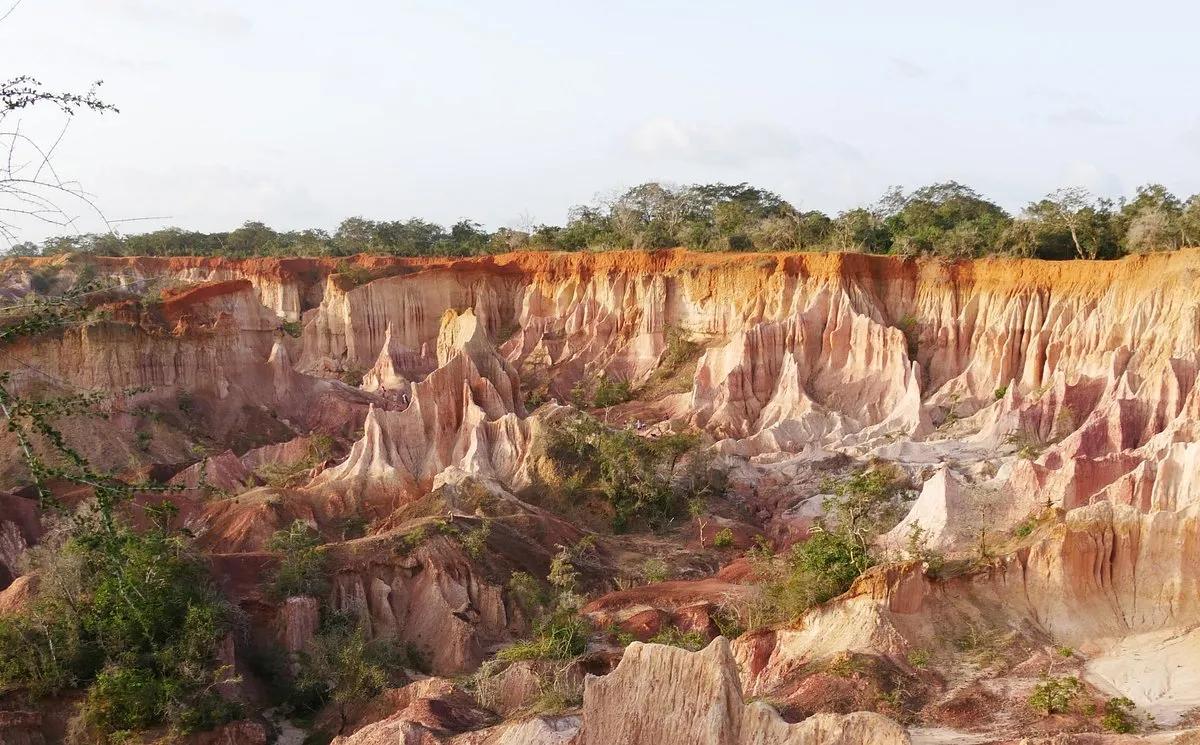 hell’s kitchen marafa hell's kitchen marafa