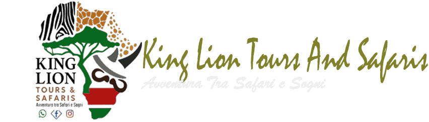 King lion tours and safaris 2025