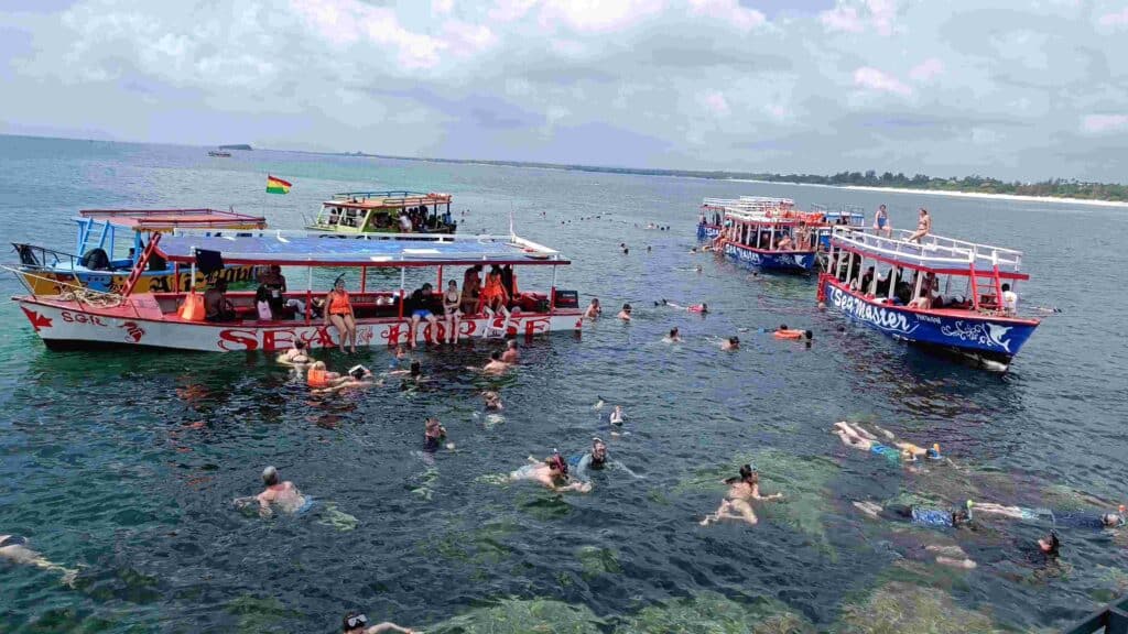Escursioni Safari Watamu Kenya | King Lion Tours and Safaris safari blu mida creek