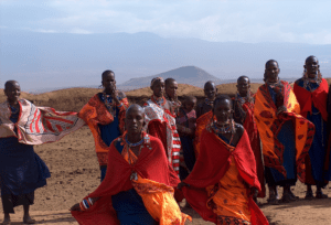 king lion tours anda safaris